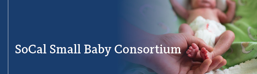 17th Annual Orange County Symposium for Cardiovascular Disease Prevention