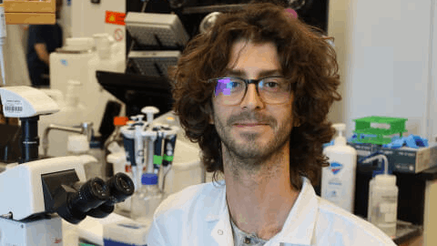 Marco Bassetto in his lab next to a microscope. 