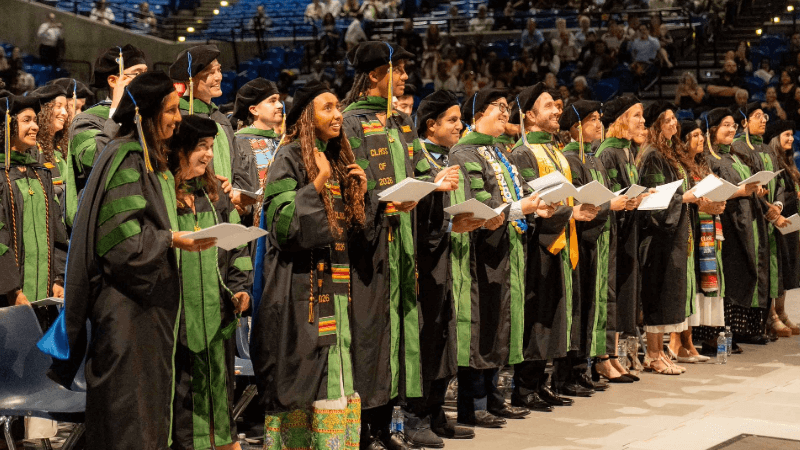 School of Medicine graduating class of 2026 standing up in their green robes.